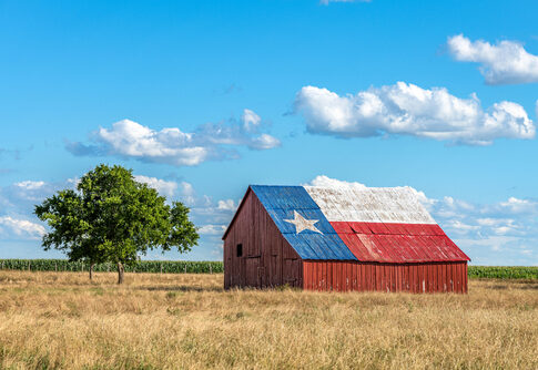Barn with Texas flag painted on roof, tree nearby.