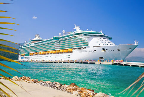 Large cruise ship docked near turquoise water and foliage.