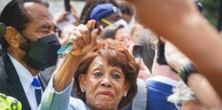 maxine