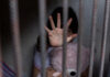 Child behind bars, hand raised, holding a teddy bear.
