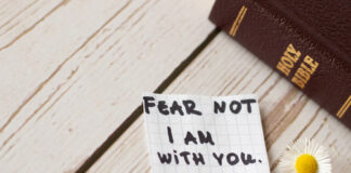 "Note with Bible and daisy on wooden table."