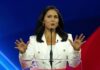 Tulsi Gabbard, National Intelligence Director