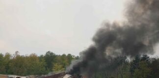 Train derailment with smoke and fire near a forest.
