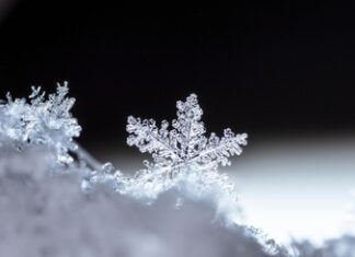Close-up of a single snowflake with intricate details.