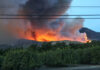Forest fire raging behind trees and power lines.