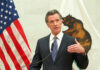 Gavin Newsom. Governor, California, Leftist