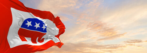Republican flag with elephant emblem waving in the sky.