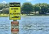 Caution sign warns of alligators near water body