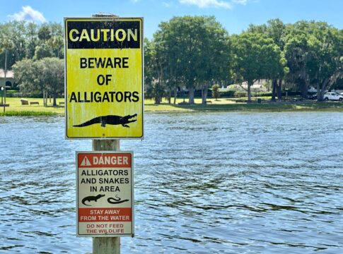 Caution sign warns of alligators near water body