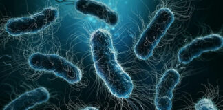 Close-up of bacteria with flagella in bluish hue.