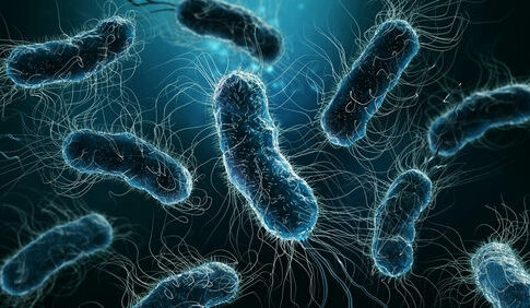 Close-up of bacteria with flagella in bluish hue.