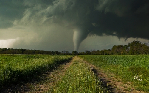 shutterstock_2400625753.jpg A tornado forming in a rural landscape under dark storm clouds