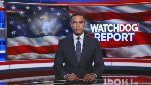 "watchdog,Report",With,A,Patriotic,Background,For,A,Televion,Report News anchor presenting a report in front of an American flag backdrop